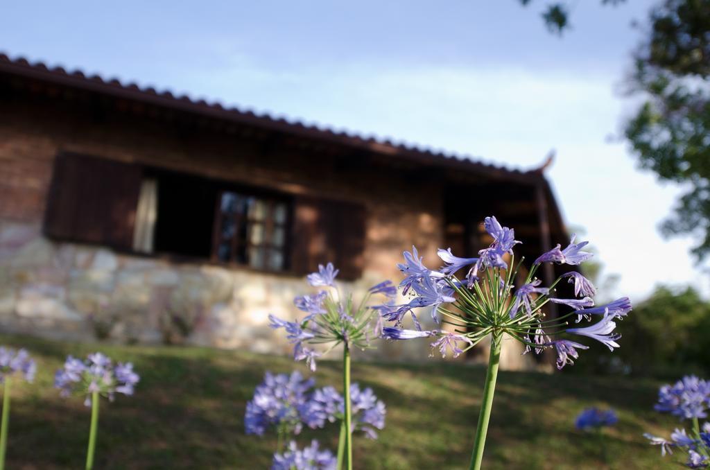 Hotel Pousada Spa Prana Lorien à Santo Antônio do Leite Extérieur photo