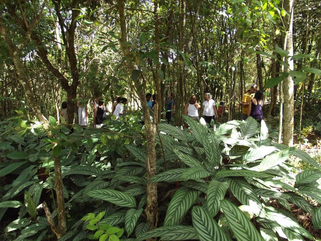 Hotel Pousada Spa Prana Lorien à Santo Antônio do Leite Extérieur photo